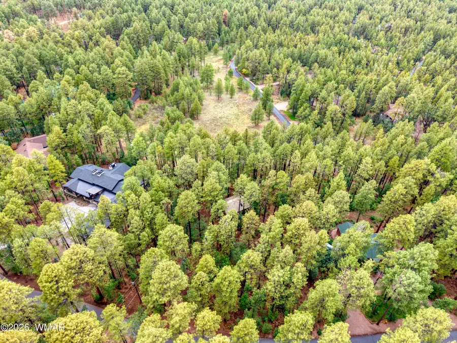 2478 Sunflower Drive, Pinetop, AZ 85935 - #2