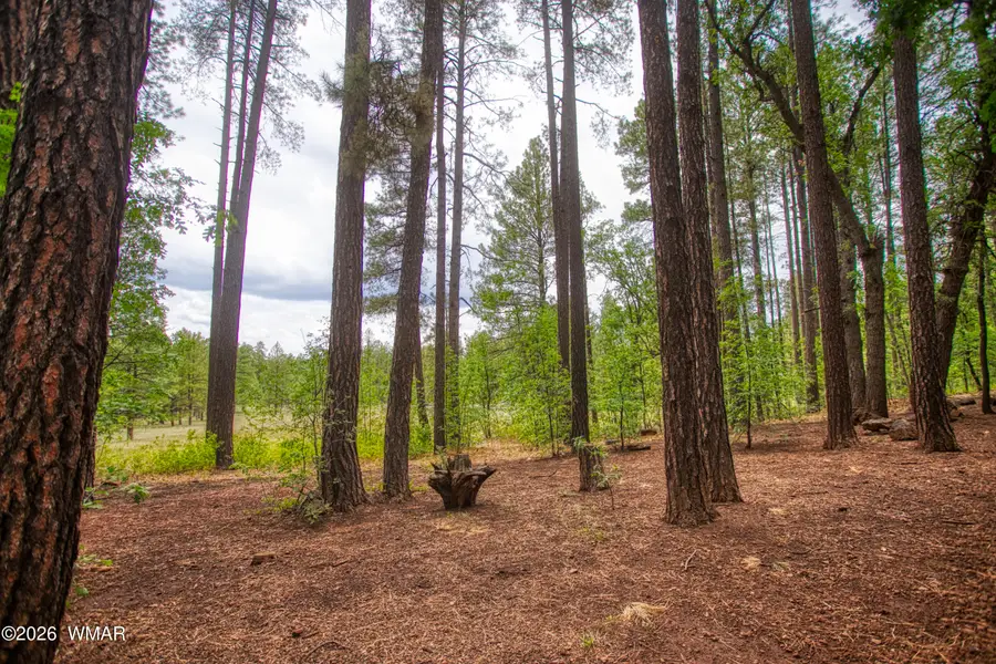2478 Sunflower Drive, Pinetop, AZ 85935 - #3