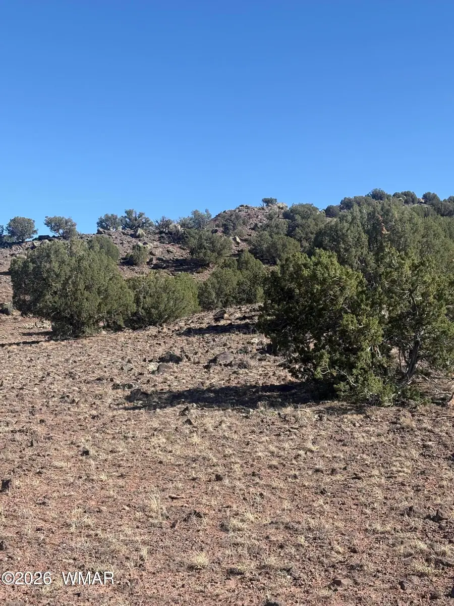 478 N8521, Concho, AZ 85924 - #2