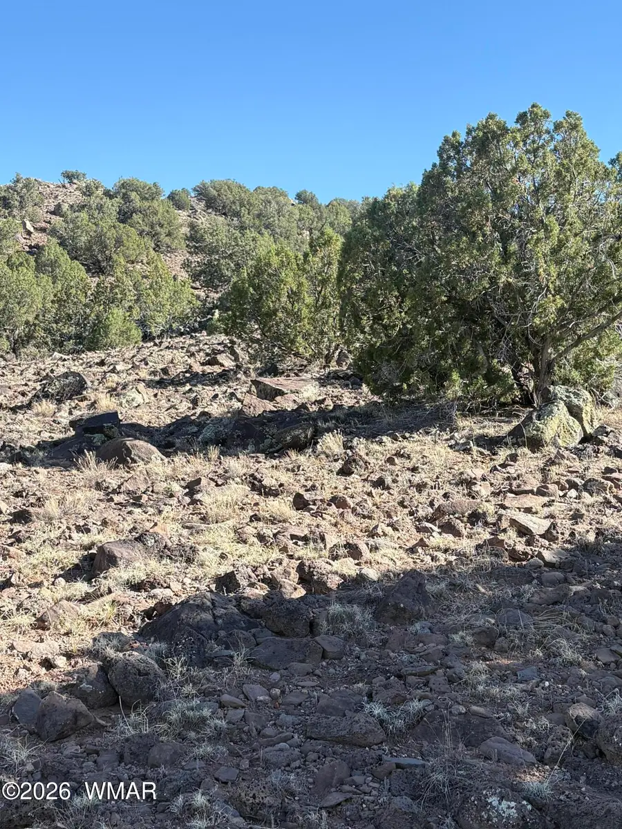 478 N8521, Concho, AZ 85924 - #3