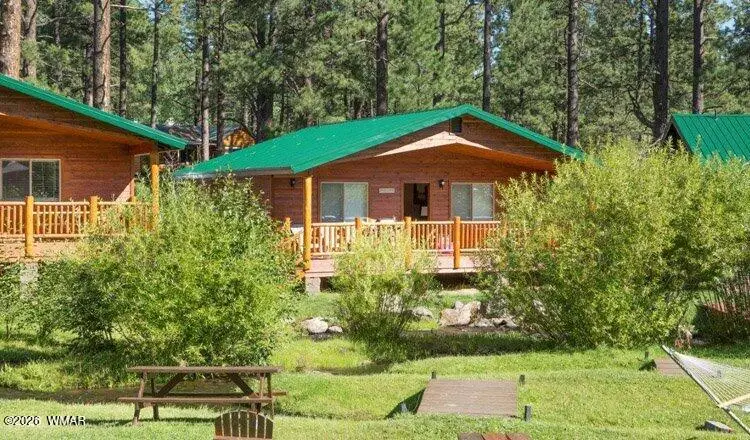 36 N1009, Greer, AZ 85927 - #3