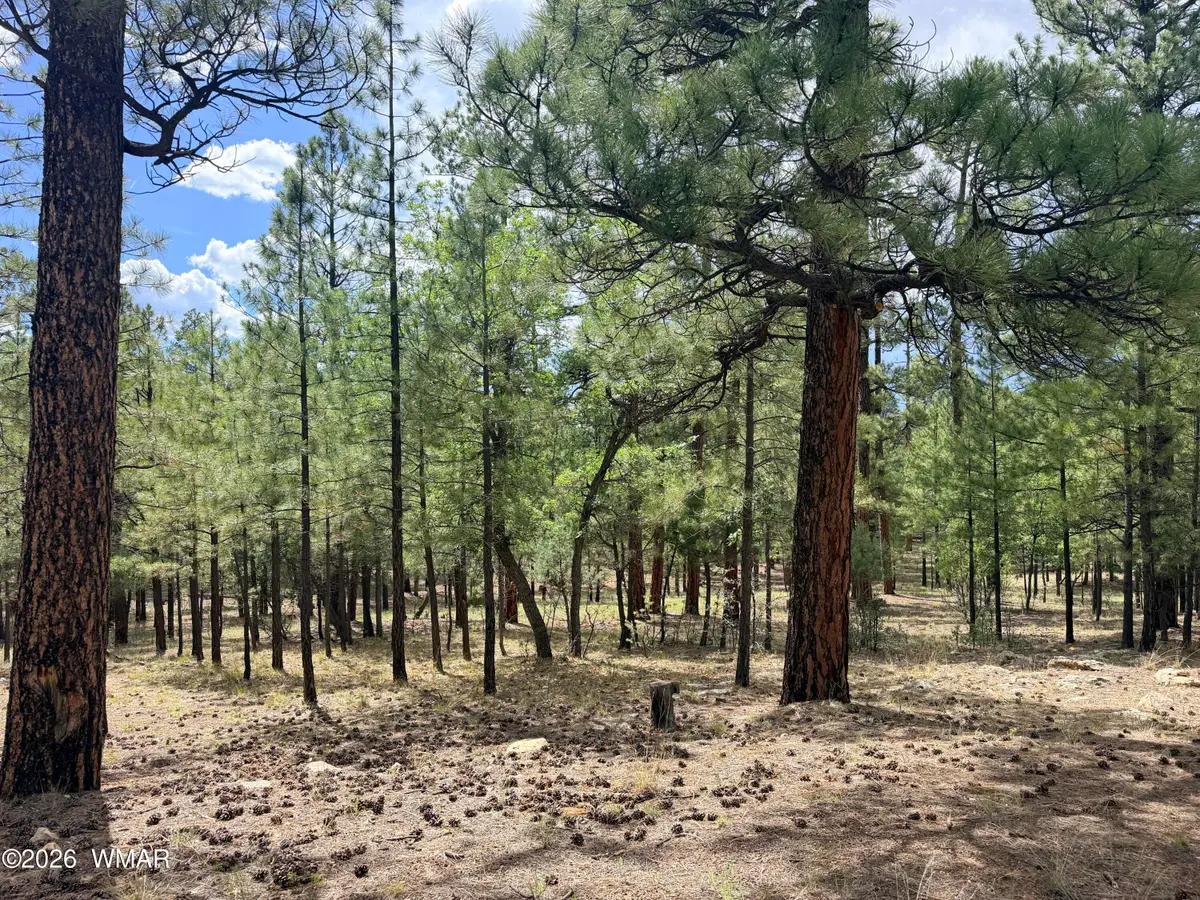 3212 Apache Drive, Happy Jack, AZ 86024 - #1