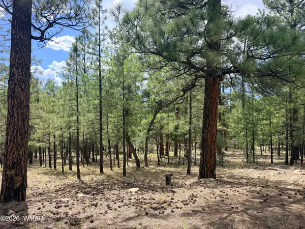 3212 Apache Drive, Happy Jack, AZ 86024