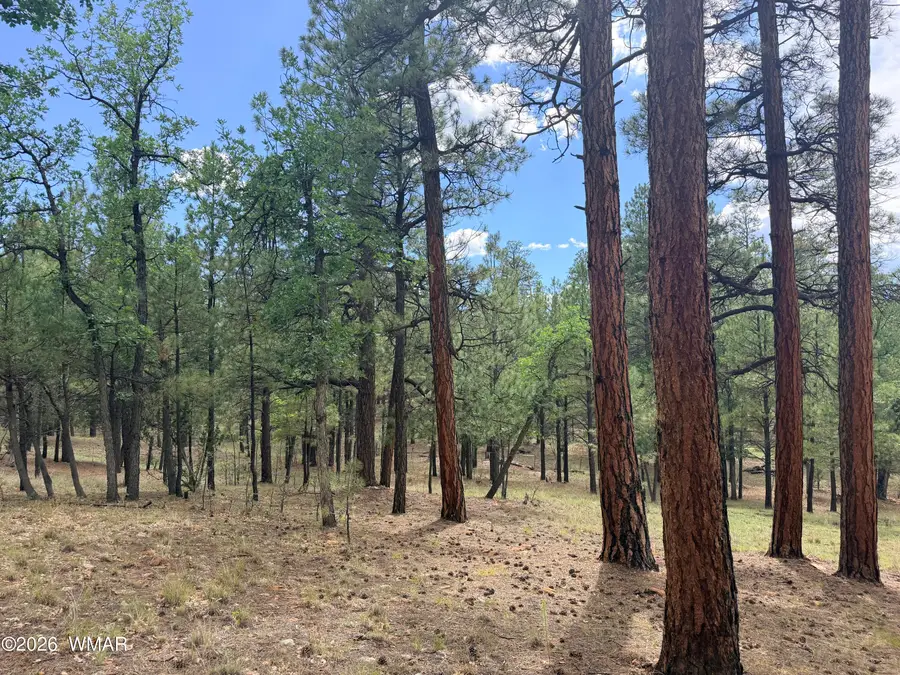 3212 Apache Drive, Happy Jack, AZ 86024 - #3