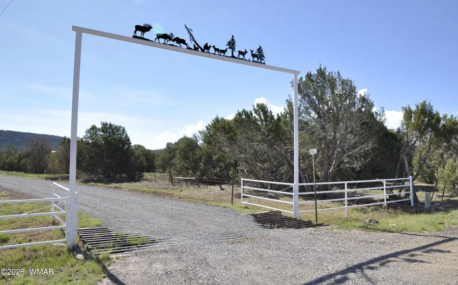 52 Cr 3398, Vernon, AZ 85940 - #2