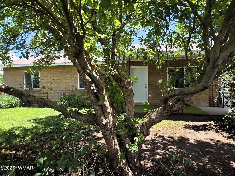 524 S Thunderbird Drive, Springerville, AZ 85938 - #2