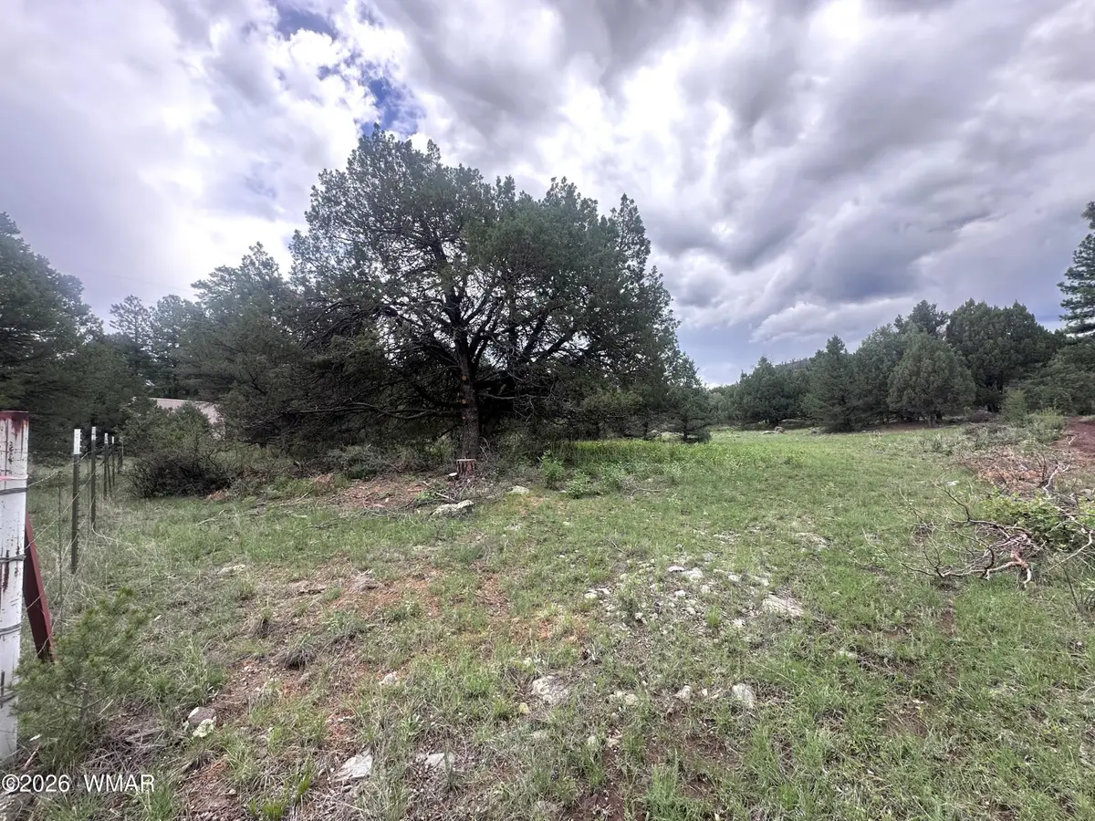 Address Withheld By Seller, Greer, AZ 85927 - #1
