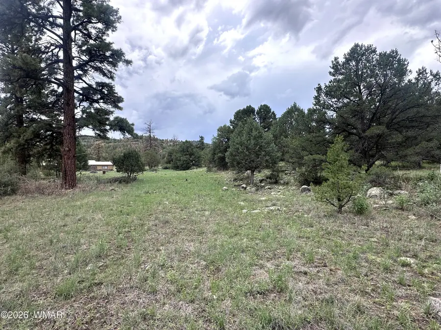 Address Withheld By Seller, Greer, AZ 85927 - #2