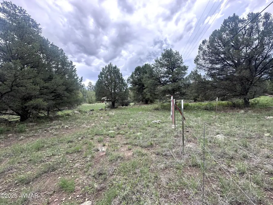 Address Withheld By Seller, Greer, AZ 85927 - #3