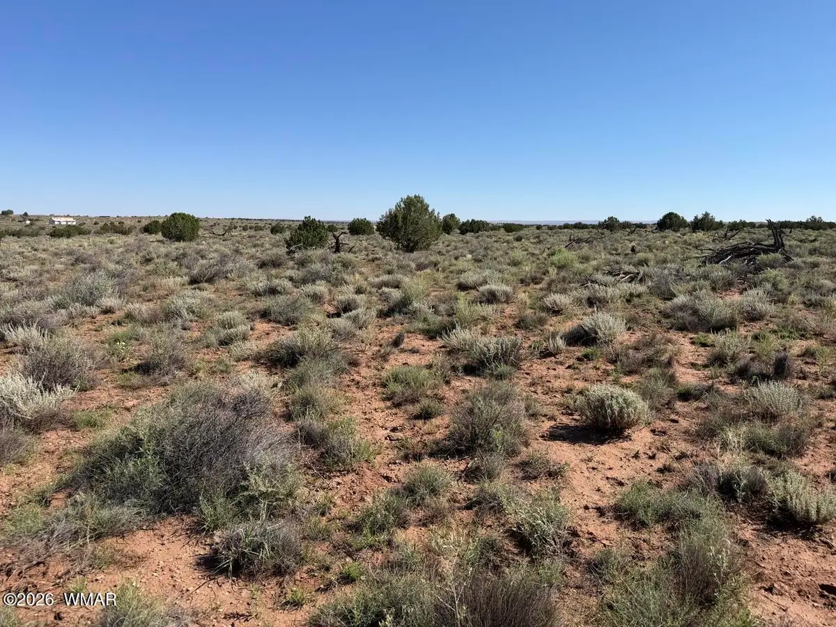 5335 White Antelope Road, Snowflake, AZ 85937 - #1