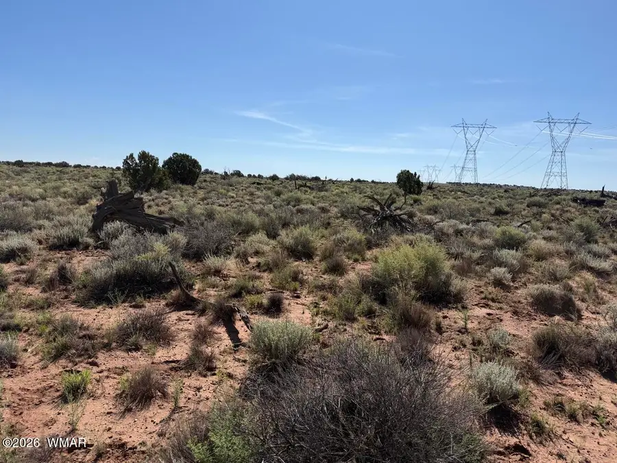 5335 White Antelope Road, Snowflake, AZ 85937 - #2