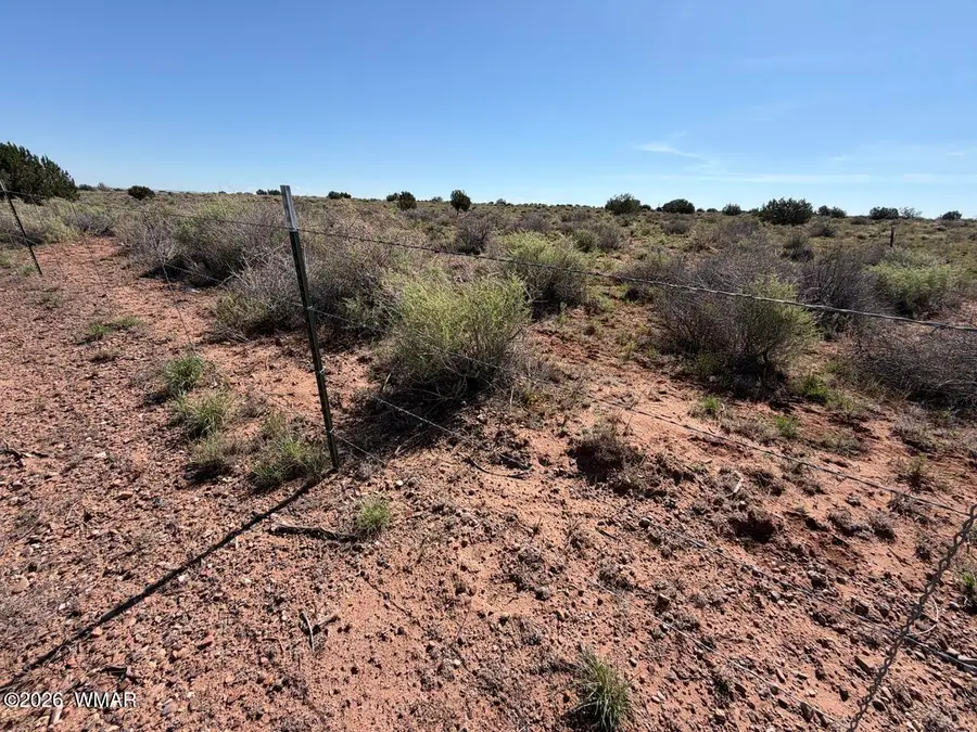 5335 White Antelope Road, Snowflake, AZ 85937 - #3