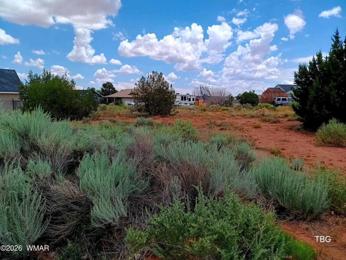 96 N Lyon Gate Drive, Snowflake, AZ 85937 - #1