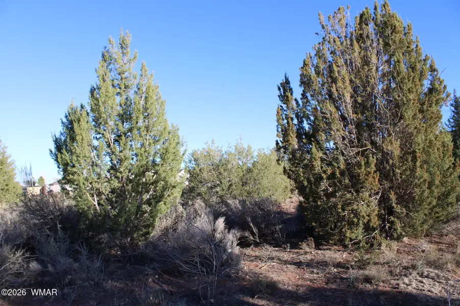 96 N Lyon Gate Drive, Snowflake, AZ 85937 - #2