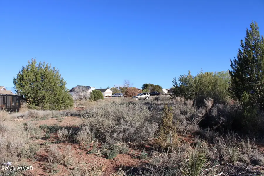 96 N Lyon Gate Drive, Snowflake, AZ 85937 - #3