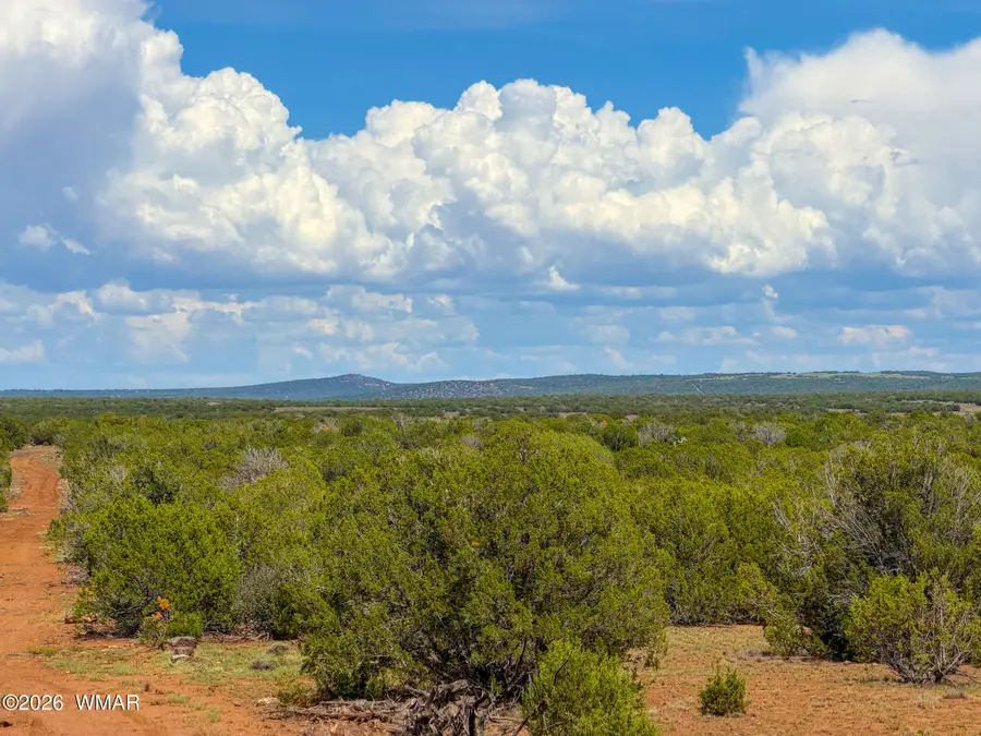 0 Gample Ln. 13 Acres (lot C), Show Low, AZ 85901 - #2
