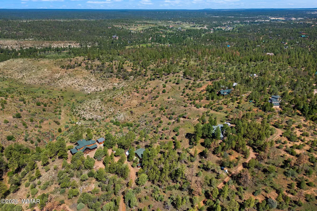 2006 Bird Lane, Overgaard, AZ 85933 - #1