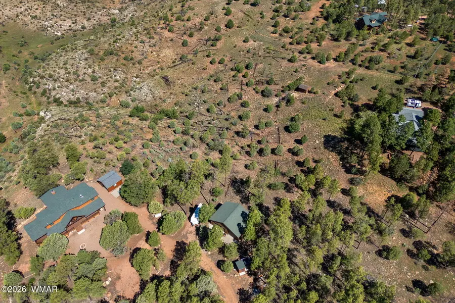 2006 Bird Lane, Overgaard, AZ 85933 - #2