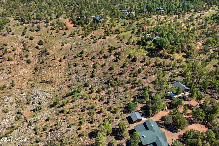 2006 Bird Lane, Overgaard, AZ 85933 - #3