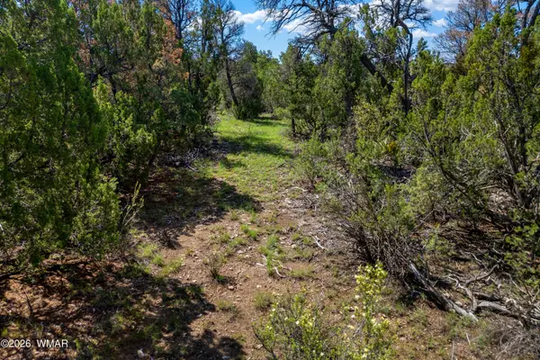 1887 Little Doe Trail, Heber, AZ 85928