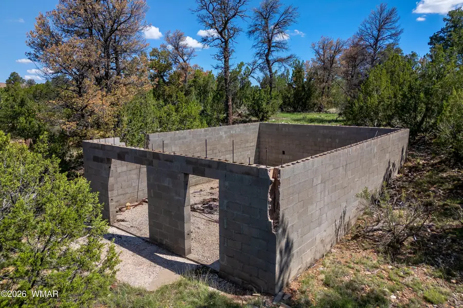 1887 Little Doe Trail, Heber, AZ 85928 - #2