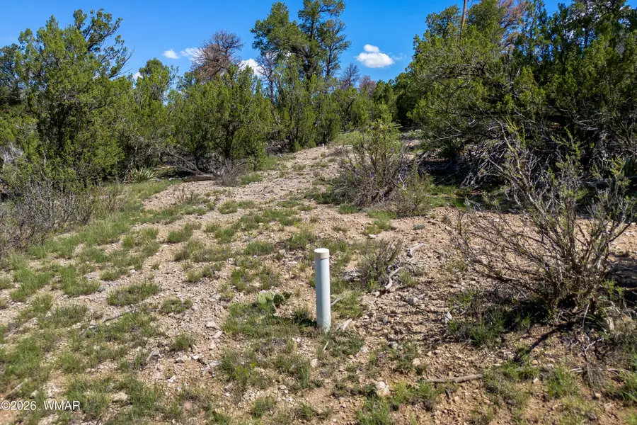 1887 Little Doe Trail, Heber, AZ 85928 - #3