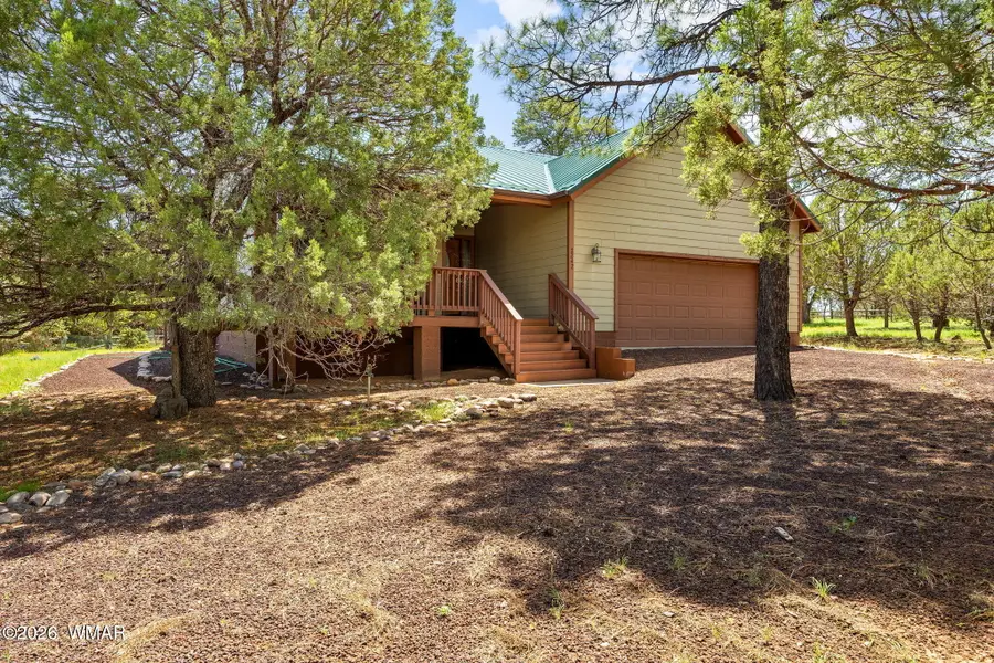 2242 Grizzly Drive, Overgaard, AZ 85933 - #3