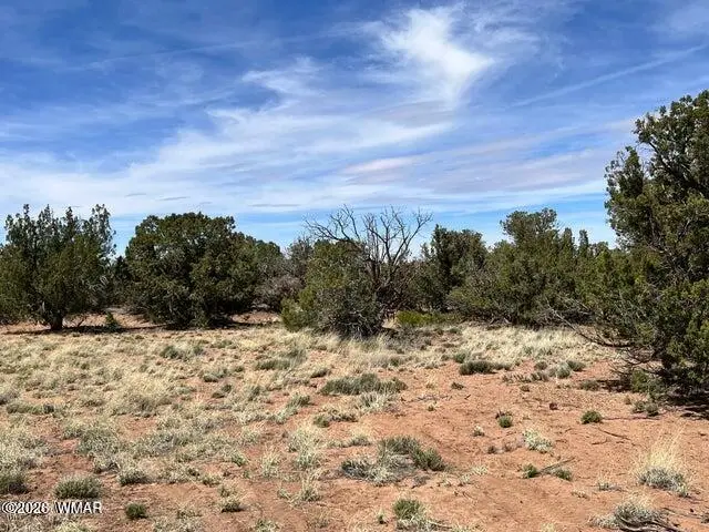 3845 Apache Road, Snowflake, AZ 85937 - #1