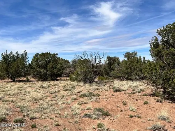 3845 Apache Road, Snowflake, AZ 85937