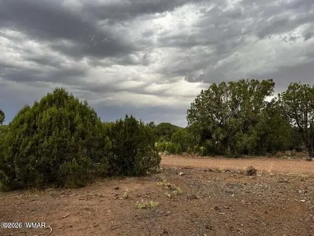 3845 Apache Road, Snowflake, AZ 85937 - #3