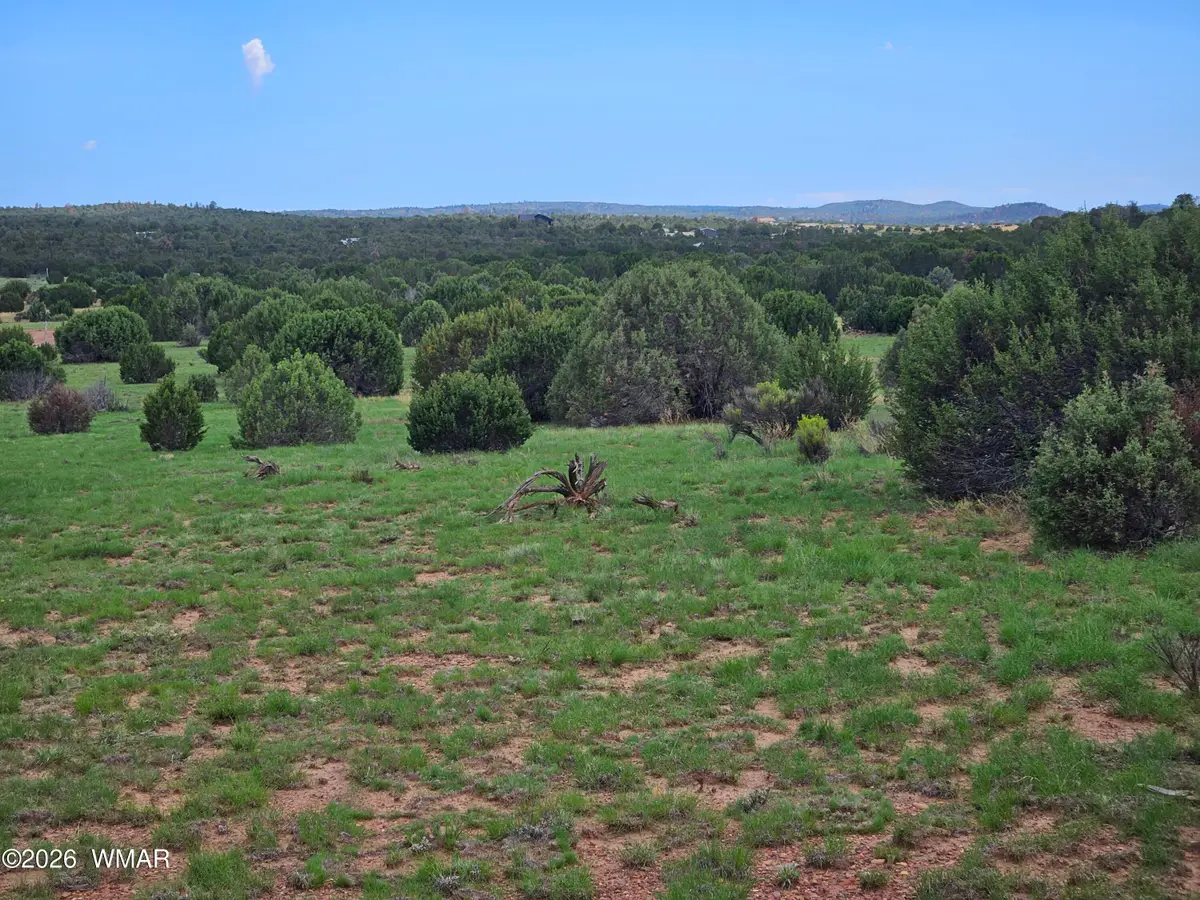 TBD Birdwing Lane, Clay Springs, AZ 85923 - #1