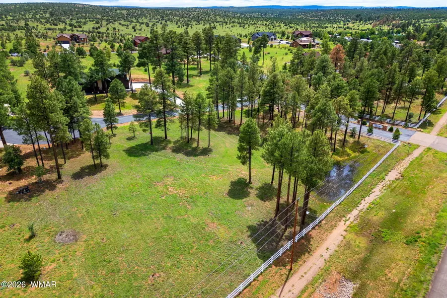 2254 Brown Bear Circle, Overgaard, AZ 85933 - #3