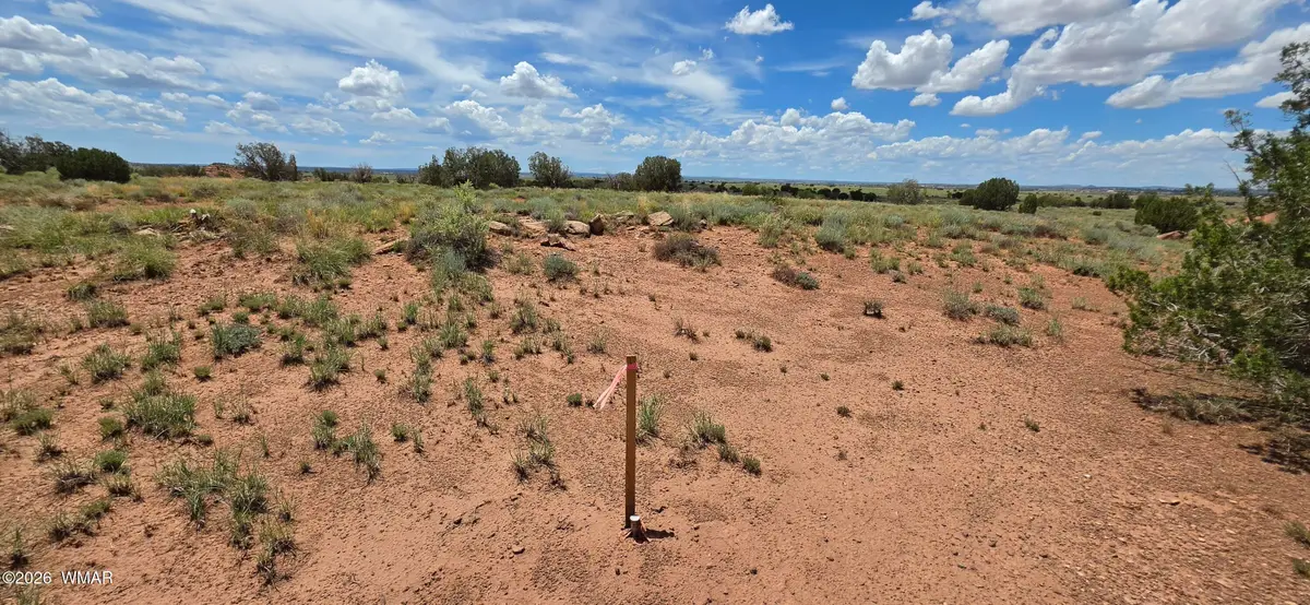 TBD 22 Ac, Snowflake, AZ 85937 - #1