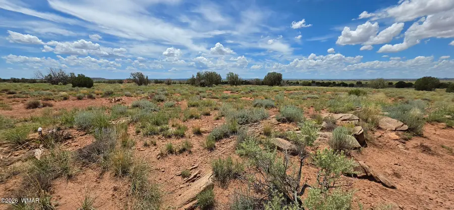 TBD 22 Ac, Snowflake, AZ 85937 - #2
