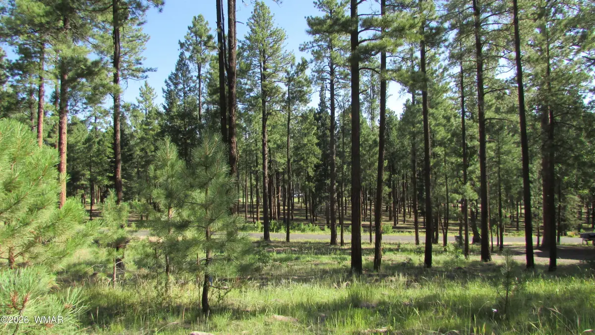 8 Cr 2194, Alpine, AZ 85920 - #1