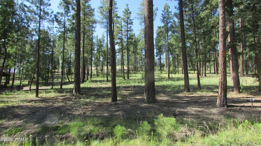 8 Cr 2194, Alpine, AZ 85920 - #2