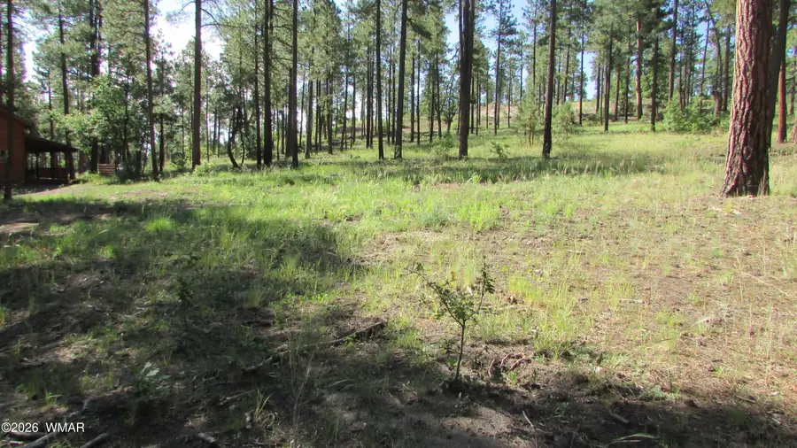8 Cr 2194, Alpine, AZ 85920 - #3