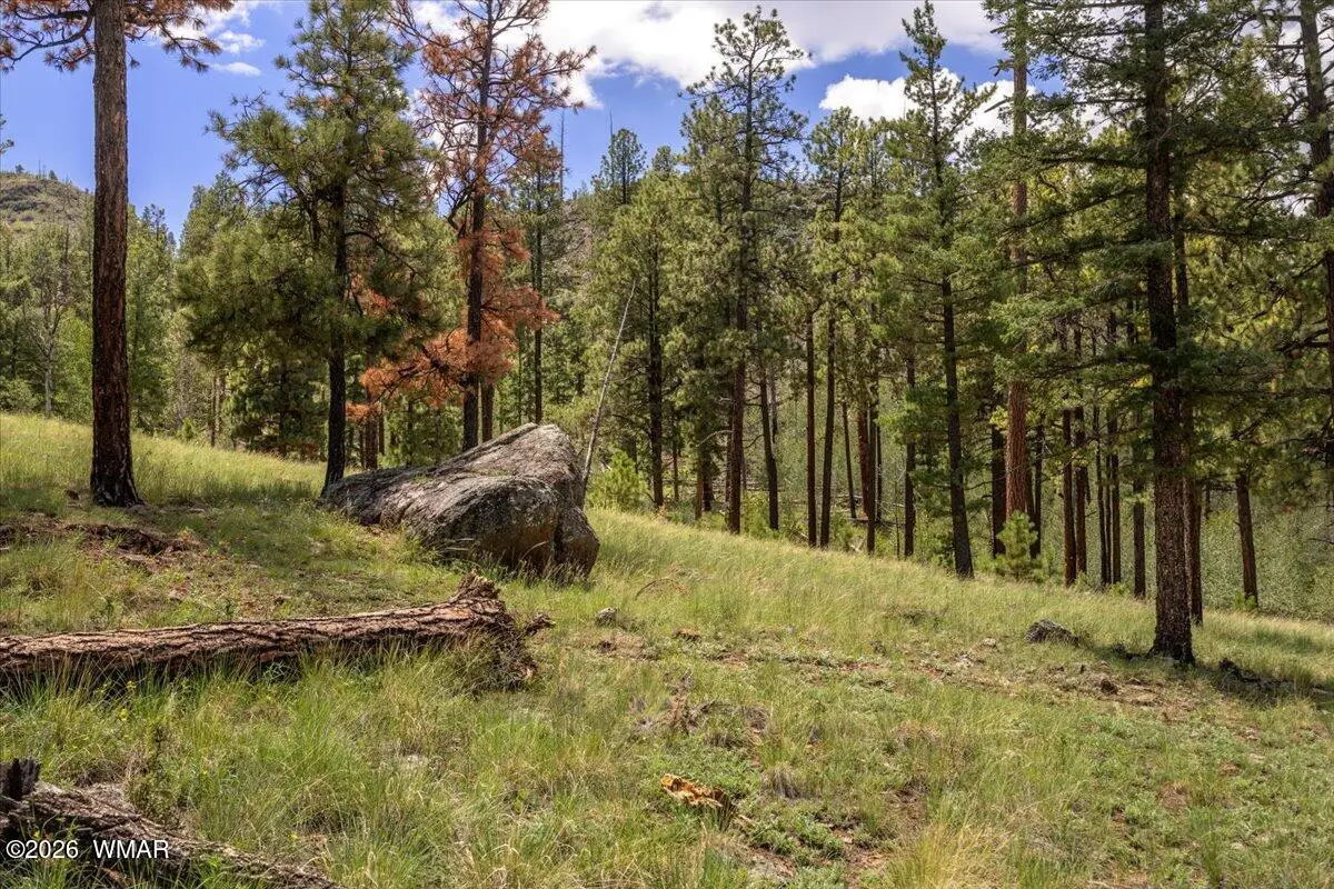 14 County Rd N1062, Greer, AZ 85927 - #1