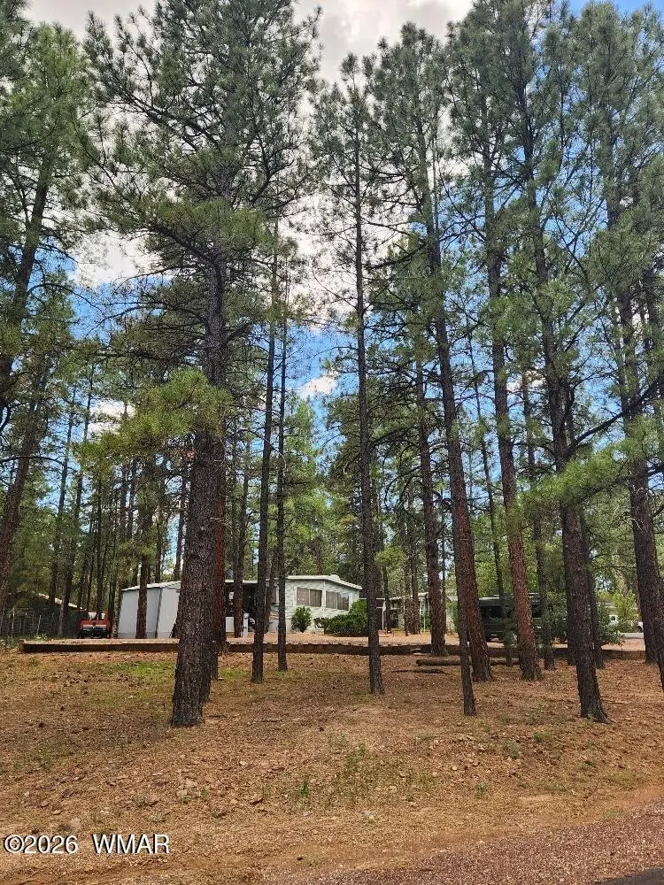 2121 W Stratton, Show Low, AZ 85901 - #2