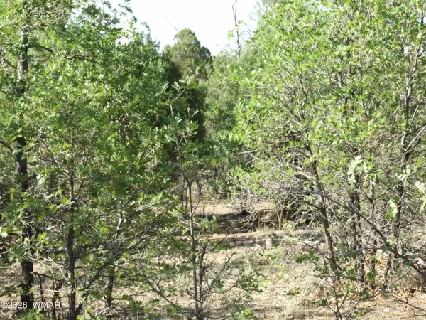 Lot C Lamb Drive, Pinedale, AZ 85934