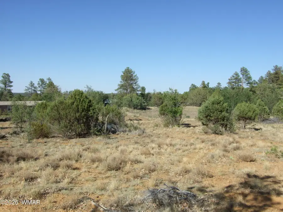 Lot C Lamb Drive, Pinedale, AZ 85934 - #2