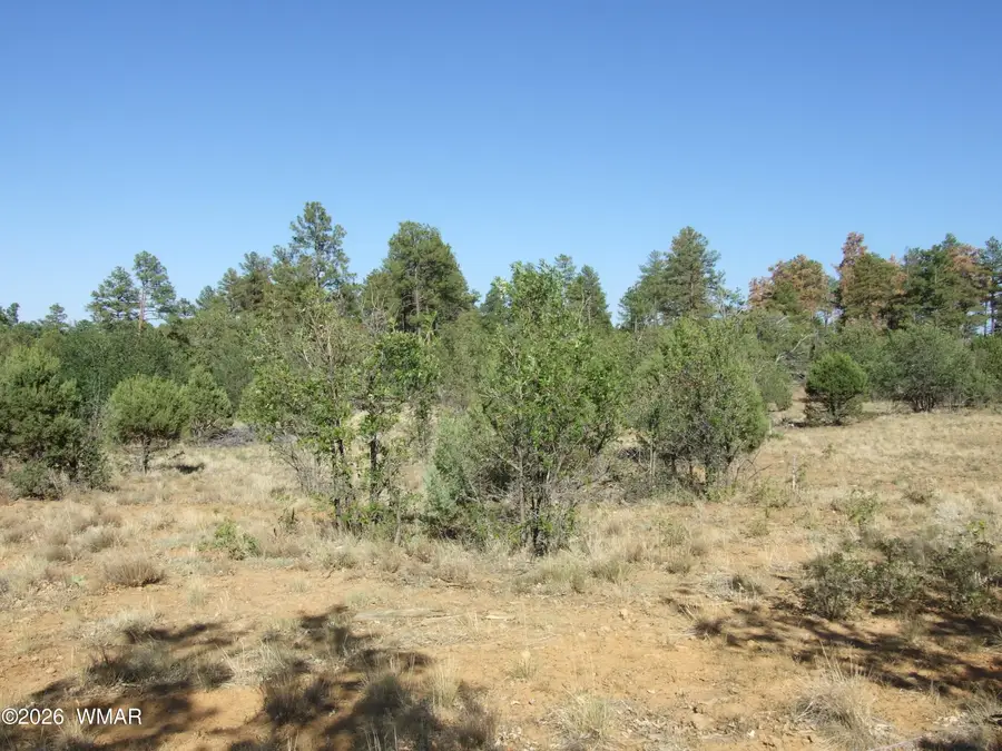 Lot C Lamb Drive, Pinedale, AZ 85934 - #3