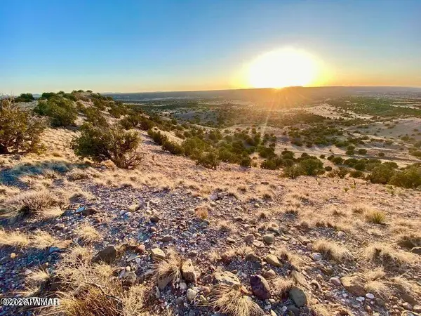 TBD Co Rd 5060 1.38 Acres, Concho, AZ 85924