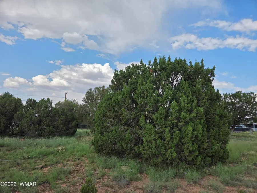8442 Cochise Circle, Show Low, AZ 85901 - #2