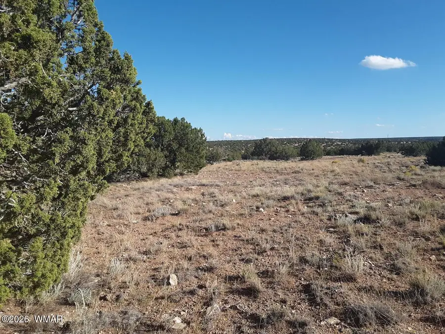 2036 Celeste Camino, Heber, AZ 85928 - #2