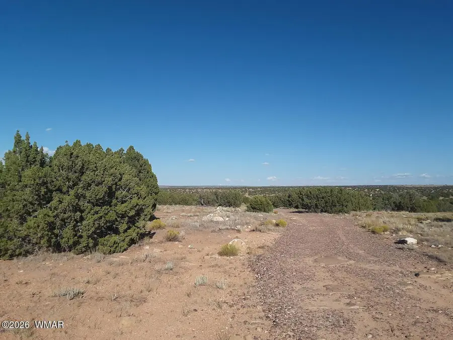 2036 Celeste Camino, Heber, AZ 85928 - #3