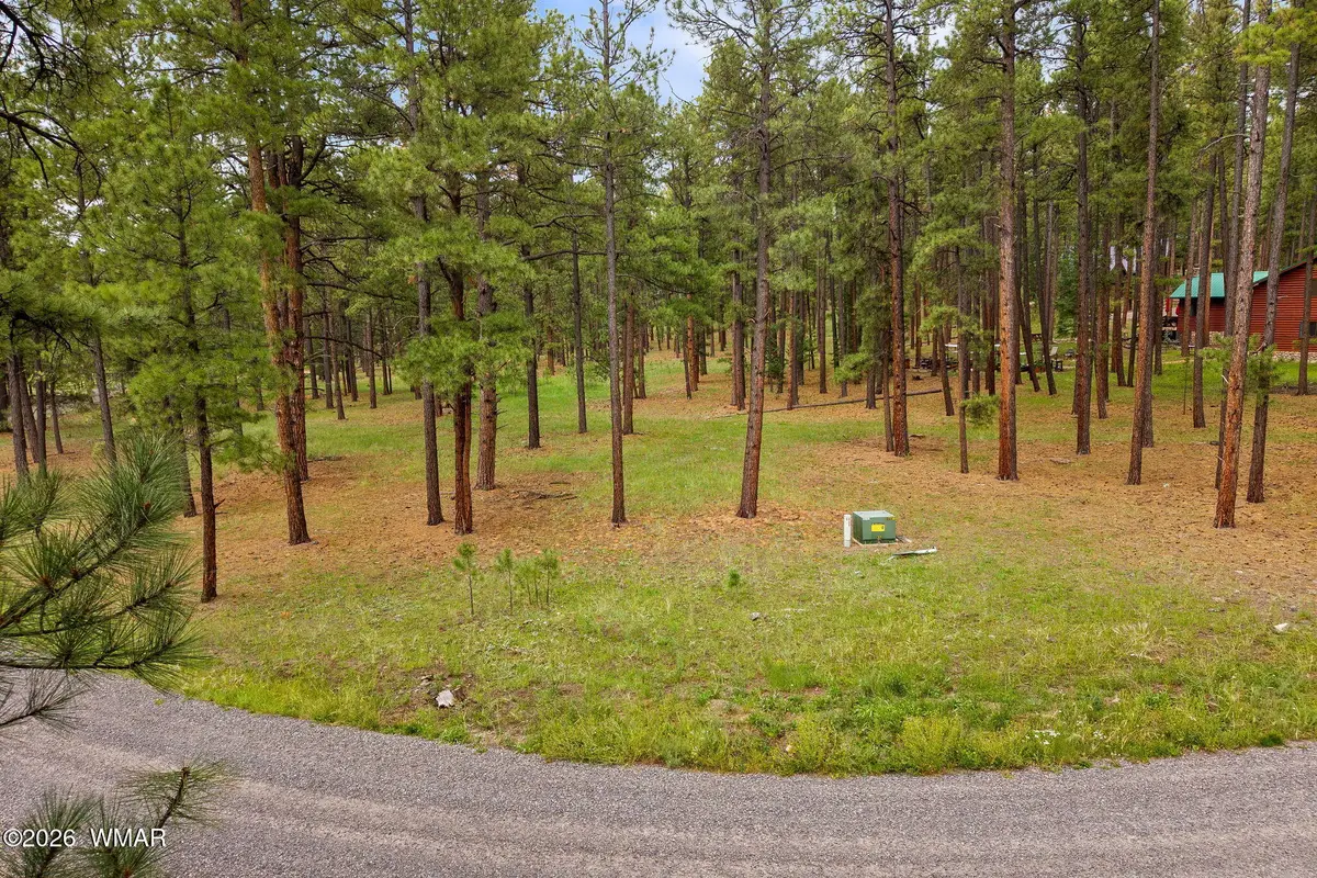 12 N1067, Greer, AZ 85927 - #1