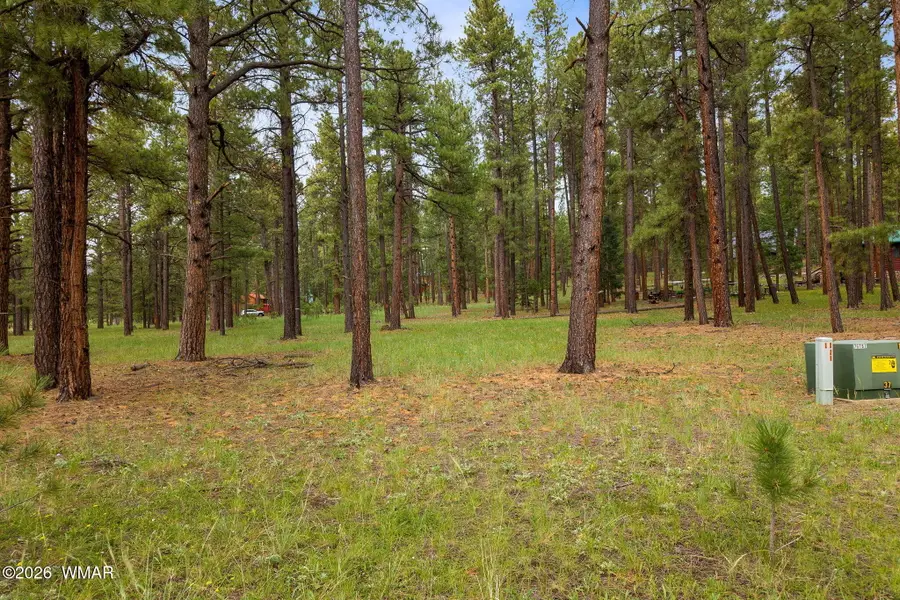 12 N1067, Greer, AZ 85927 - #3