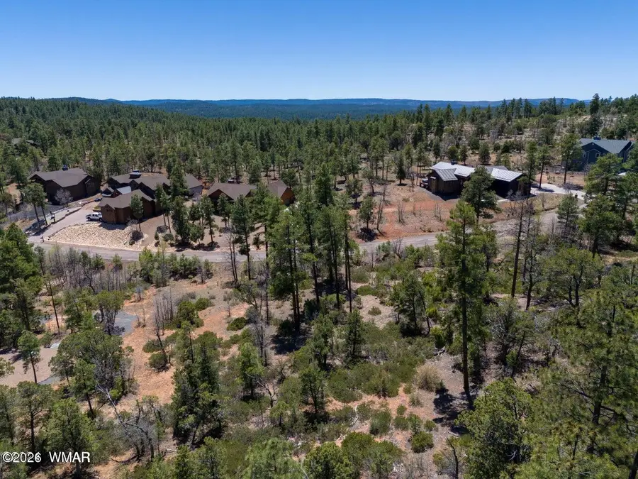 6007 Rim Road, Lakeside, AZ 85929 - #2