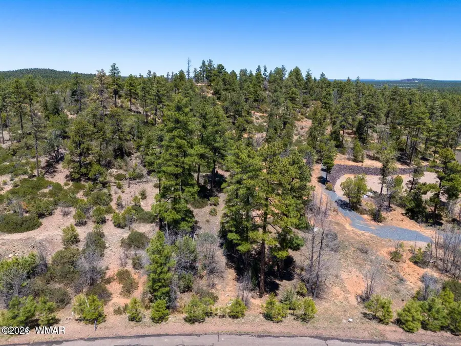 6007 Rim Road, Lakeside, AZ 85929 - #3